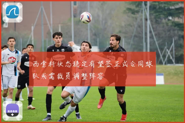 西索科状态稳定有望签正式合同球队或需裁员调整阵容